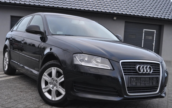 Audi A3 cena 24499 przebieg: 220000, rok produkcji 2008 z Legnica małe 781